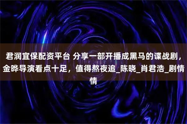 君润宜保配资平台 分享一部开播成黑马的谍战剧，金晔导演看点十足，值得熬夜追_陈晓_肖君浩_剧情