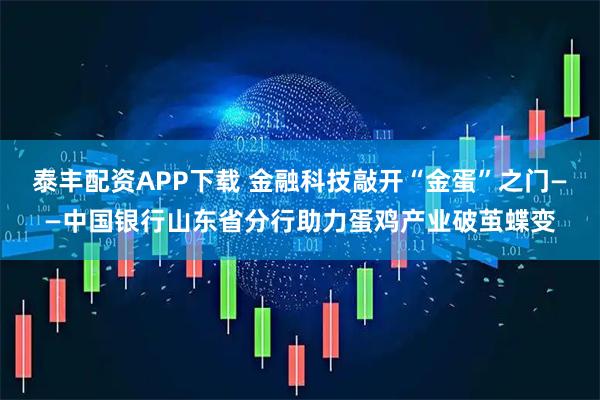 泰丰配资APP下载 金融科技敲开“金蛋”之门——中国银行山东省分行助力蛋鸡产业破茧蝶变
