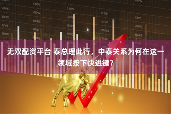 无双配资平台 泰总理此行，中泰关系为何在这一领域按下快进键？